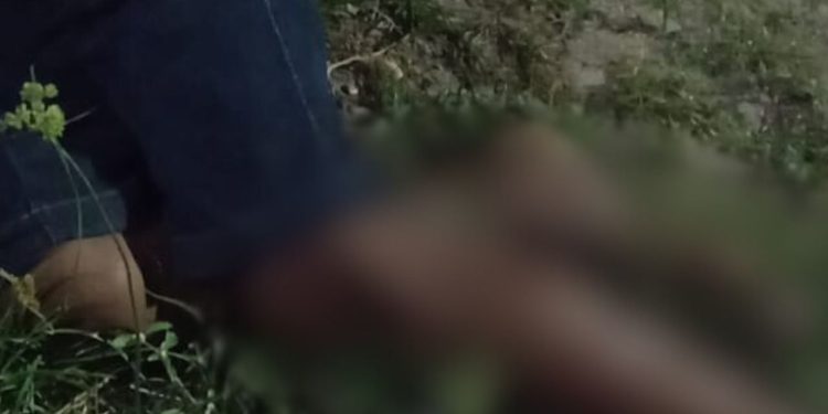 Imagem forte: Pistoleiros matam primos que estava passeando em rua do Jorge Teixeira