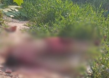 Vídeo: homem é achado morto após receber tijoladas na cabeça no Monte das Oliveiras