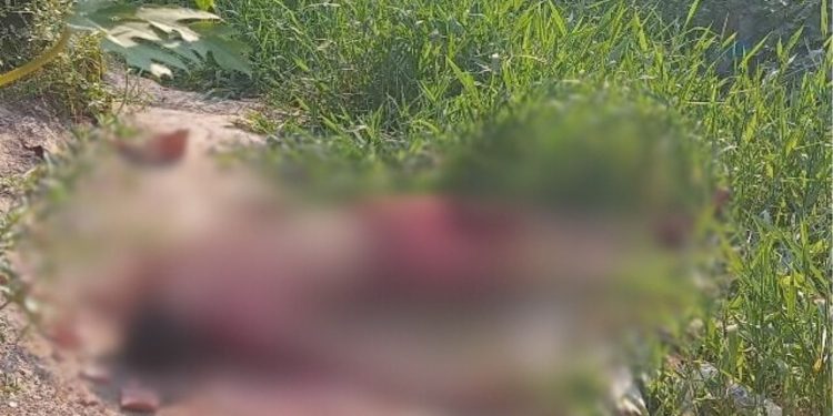 Vídeo: homem é achado morto após receber tijoladas na cabeça no Monte das Oliveiras