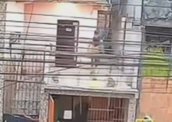 Vídeo: Morador da ZL é flagrado jogando dois cachorros do segundo andar de sua casa