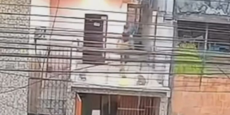 Vídeo: Morador da ZL é flagrado jogando dois cachorros do segundo andar de sua casa