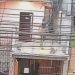 Vídeo: Morador da ZL é flagrado jogando dois cachorros do segundo andar de sua casa
