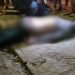 Vídeo: Suposto assaltante morre a tiros por justiceiro no Novo Aleixo