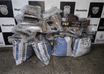 Após acidente entre boi e caminhão, PM apreende 84 kg de bagulho no interior do AM