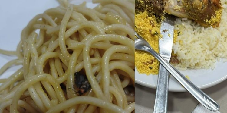 UEA serve macarrão com barata para universitários comerem em Manaus: ‘desrespeito’