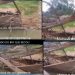 Vídeo: Rio Amazonas seca e barco naufragado há décadas reaparece: ‘nunca tinha visto’