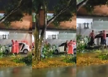Vídeo: motorista tenta  atr0pelar bombeiros que cortavam árvore em Manaus