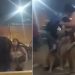 Veja o vídeo das blindadas se batend0 por garanhão após noite de bebedeira