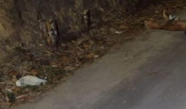 Veja: C0rp0 de homem é encontrado após moradores verem rastro de sangu3 em rua de Manaus