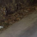 Veja: C0rp0 de homem é encontrado após moradores verem rastro de sangu3 em rua de Manaus
