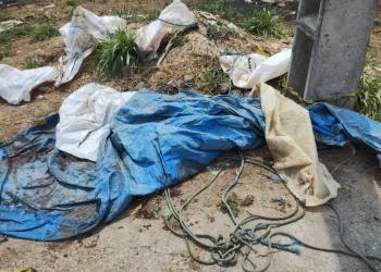 Criminosos saem de carro e jogam partes de c0rp0 ao lado da avenida das Flores em Manaus