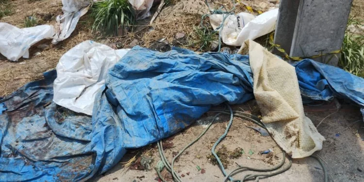 Criminosos saem de carro e jogam partes de c0rp0 ao lado da avenida das Flores em Manaus