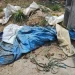 Criminosos saem de carro e jogam partes de c0rp0 ao lado da avenida das Flores em Manaus