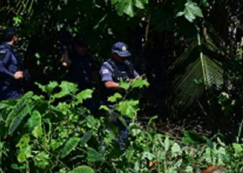 Homem é mort0 com facad@s nas costas e deixado no mato no Amazonas