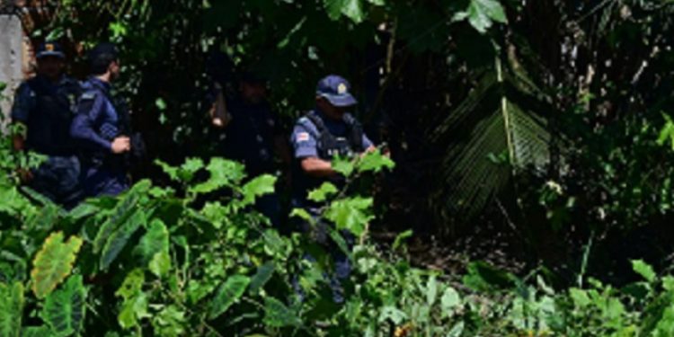 Homem é mort0 com facad@s nas costas e deixado no mato no Amazonas