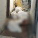 “Ceará” é mort0 em prédio onde funciona boca de fumo no Centro de Manaus