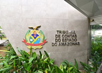 TCE-AM faz esforço concentrado para zerar estoque de processos
