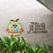 TCE-AM faz esforço concentrado para zerar estoque de processos