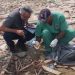 Vídeos: rio seca e pescadores encontram ossos humanos na Feira da Panair