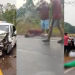 Vídeos: Duas pessoas morr3m e outras ficam ferid@s em acidente na BR-319