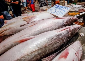 No AM, peixeiro mat@ homem com f@cada no peito após ele se recusar a comprar peixe dele