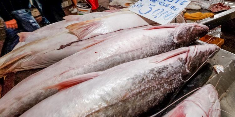 No AM, peixeiro mat@ homem com f@cada no peito após ele se recusar a comprar peixe dele