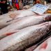 No AM, peixeiro mat@ homem com f@cada no peito após ele se recusar a comprar peixe dele