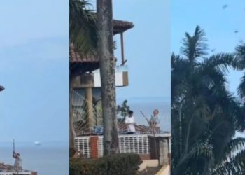 Vídeo: homem atira fogos de artifício para espantar aves no Amazonas