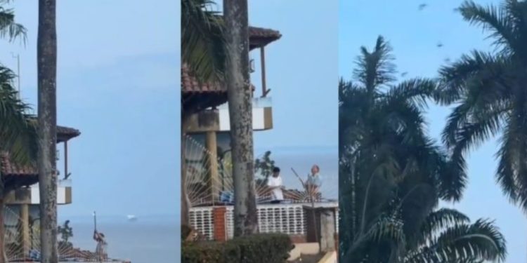 Vídeo: homem atira fogos de artifício para espantar aves no Amazonas
