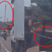 Vídeo: Motoristas brigam de terçado e pedaço de madeira em avenida de Manaus