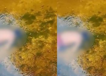 Corpo de José de Jesus é encontrado boiando em igarapé de Manaus