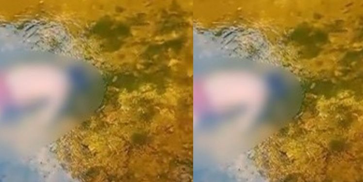 Corpo de José de Jesus é encontrado boiando em igarapé de Manaus
