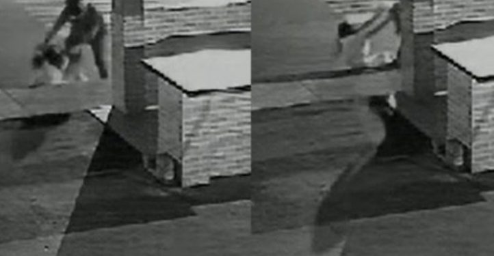 Vídeo: assaltantes atacam e arrastam mulher no meio da rua em Manaus