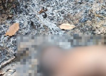 No interior do Amazonas, homem morre eletrocutado enquanto roubava fios de poste