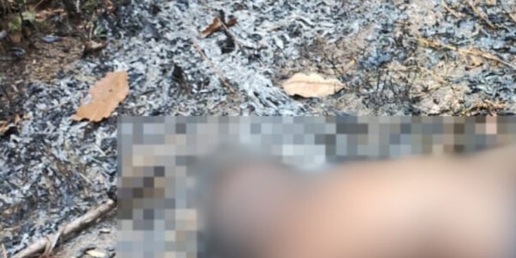 No interior do Amazonas, homem morre eletrocutado enquanto roubava fios de poste