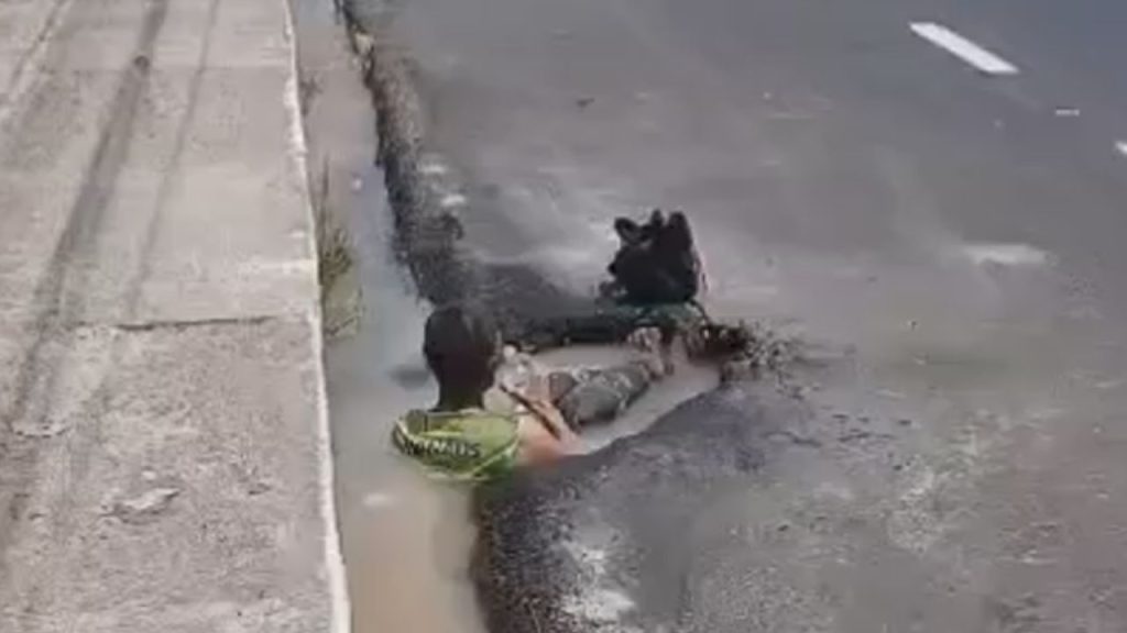 Vídeo: Para fugir do calor de Manaus, homem se refresca em poça d'água com cachaça na mão