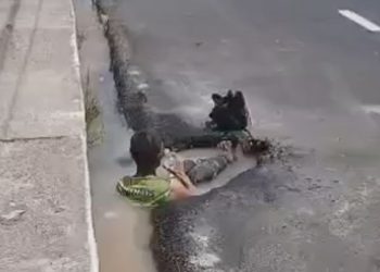 Vídeo: Para fugir do calor de Manaus, homem se refresca em poça d'água com cachaça na mão