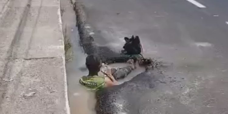 Vídeo: Para fugir do calor de Manaus, homem se refresca em poça d'água com cachaça na mão