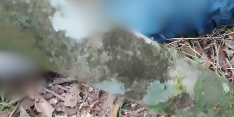 "Morreu por ser pirata": Homem é achado morto na mata com bilhete na AM-10