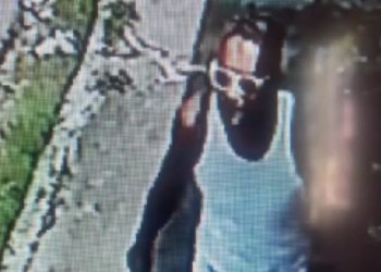 Vídeo: Homem é filmado colocando fogo em área de mata do Inpa em Manaus