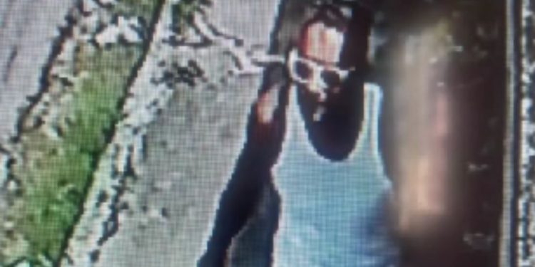 Vídeo: Homem é filmado colocando fogo em área de mata do Inpa em Manaus