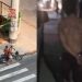 Jovem é preso pelo envolvimento no tiroteio que deixou três pessoas feridas no parque 10
