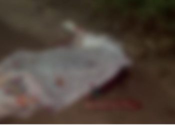 Sobrinho pega perna-manca e mata o tio após ser acordado sendo abus@do no interior do Amazonas