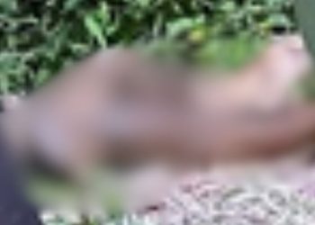 Homem espancado até a morte no Novo Aleixo é achado com bilhete escrito: ‘Morri porque sou Jack’