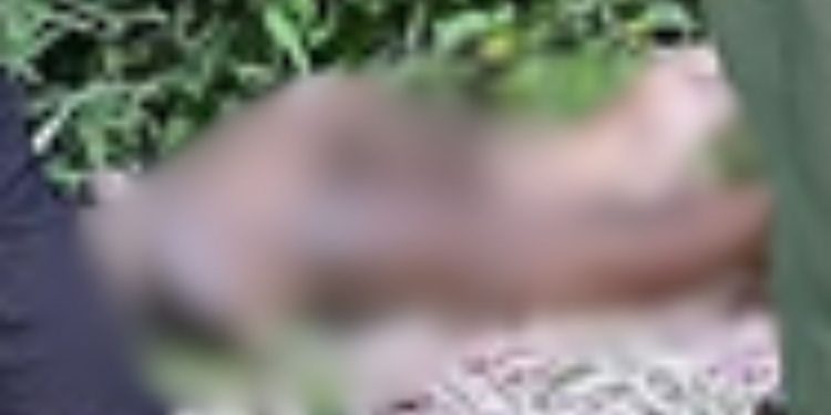 Homem espancado até a morte no Novo Aleixo é achado com bilhete escrito: ‘Morri porque sou Jack’