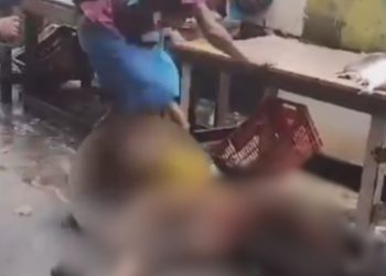 Vídeo: Em Tefé, homem é preso após agredir mulher com chutes