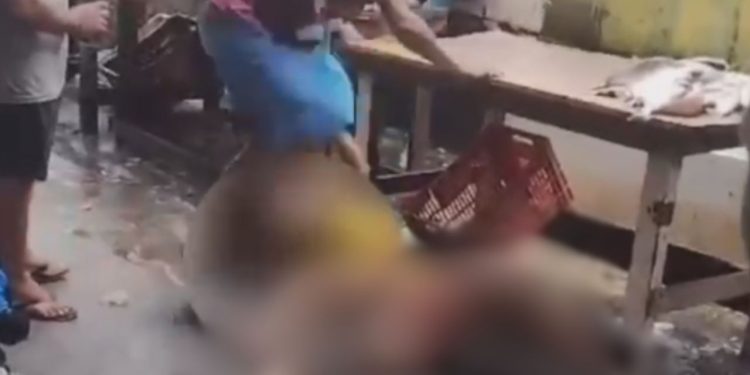 Vídeo: Em Tefé, homem é preso após agredir mulher com chutes