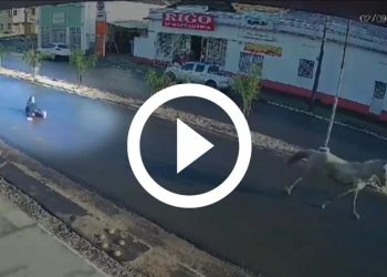 Câmera filma estudante sendo arrastado por mais de 500 metros por cavalo