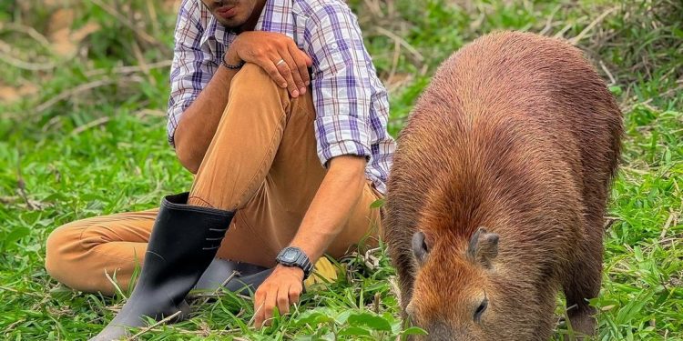 ‘Tentaram matar a Filó’, revela Agenor Tupinambá sobre capivara que vivia com ele no interior do Amazonas