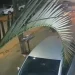 Vídeo: Dupla chega em bar, dispara 10 tir0s e não atinge alvo